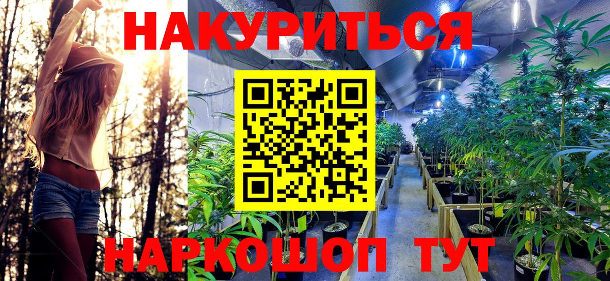 Каннабис MAZAR  Вход с VPN  Кинешма  Конопля VHQ  Бошки Шишки индика 